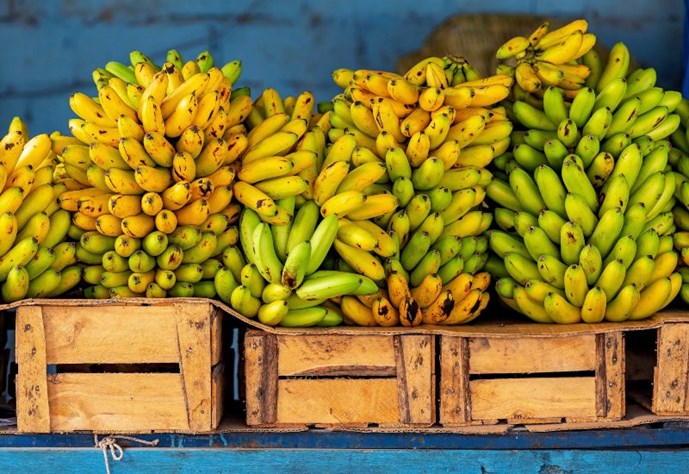 bananas-ecuador.jpg